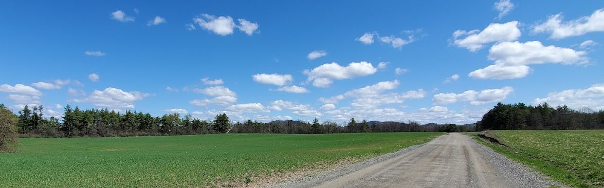 a dirt road in upstate NY, with brilliant green fields, tall dark green pines behind them, and an amazin blue sky above, with white fluffy clouds!