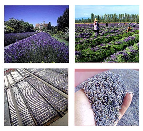 Lavender Flowers Dried Lavender Buds Culinary Grade 8oz